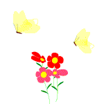 Butterfly picture